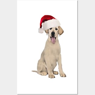 Funny Labrador In Santa Hat Posters and Art